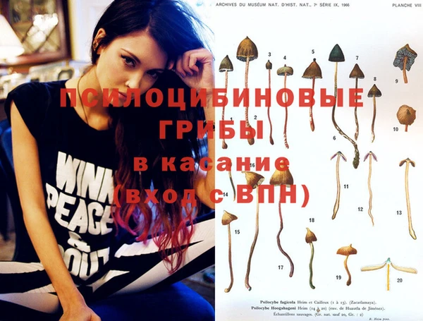 шишки Абинск